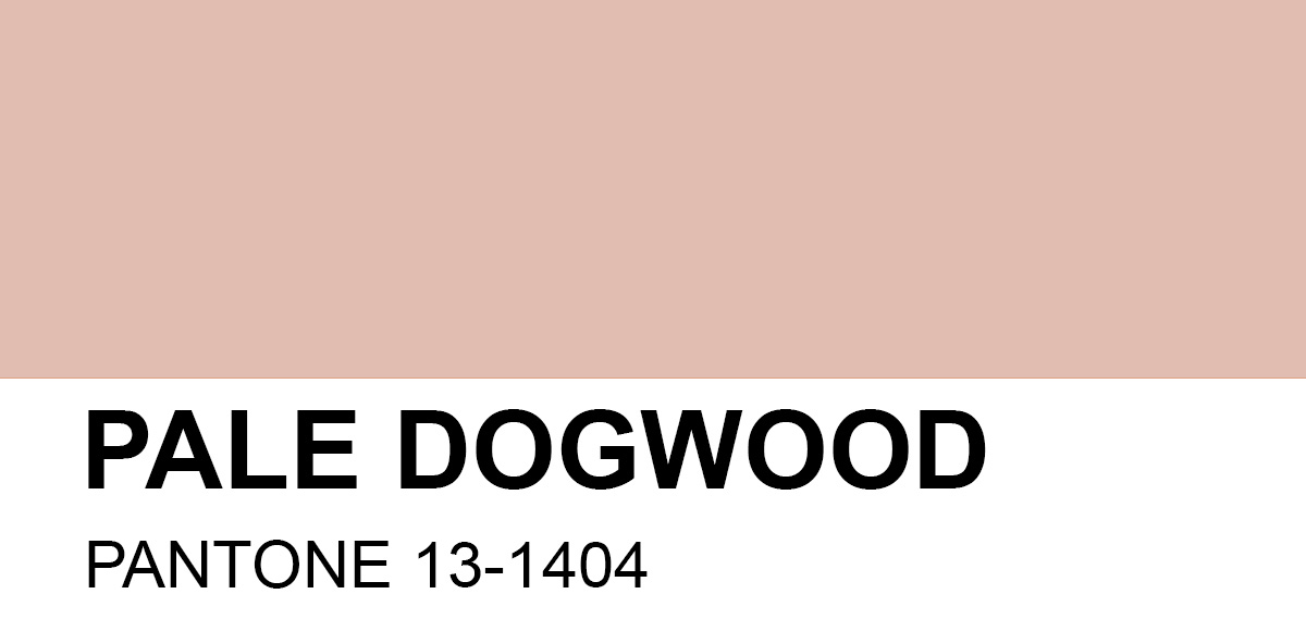 PANTONE-13-1404-Pale-Dogwood